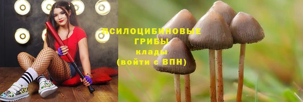 марихуана Елабуга